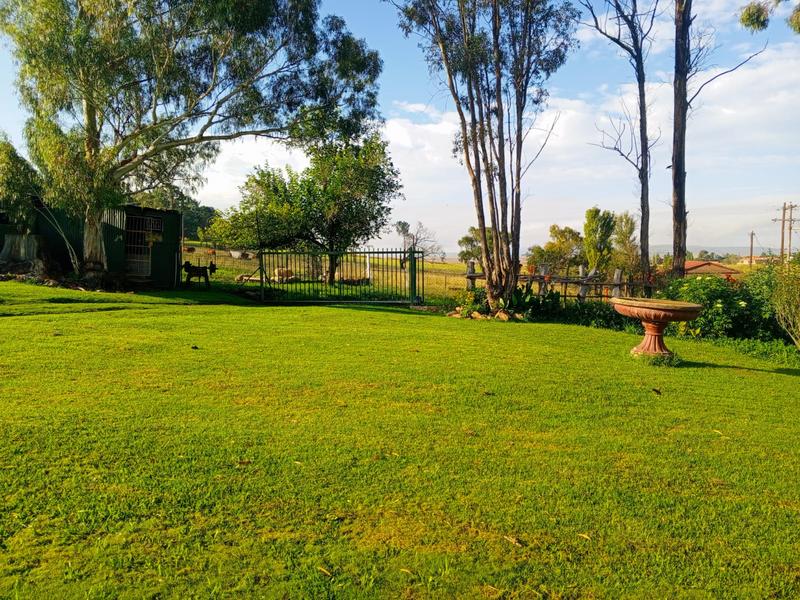 0 Bedroom Property for Sale in Kestell Free State